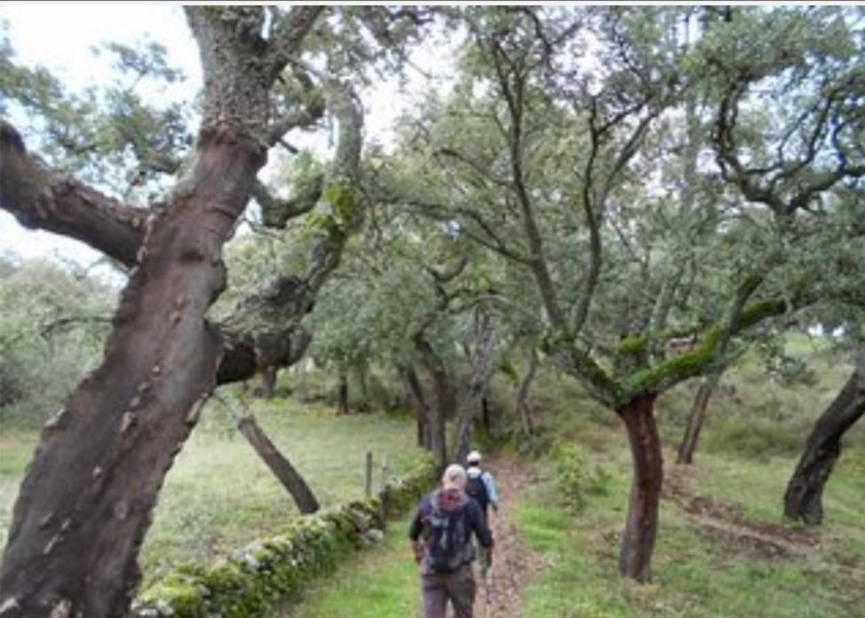 Villa Casa Farfarnicola Aguafría Esterno foto